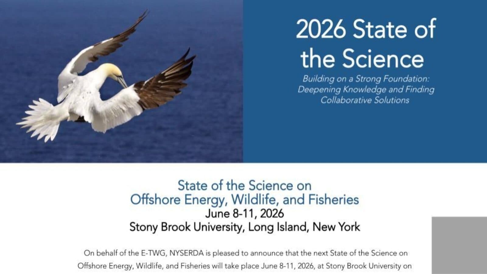 State of the Science on Offshore Energy, Wildlife, and Fisheries